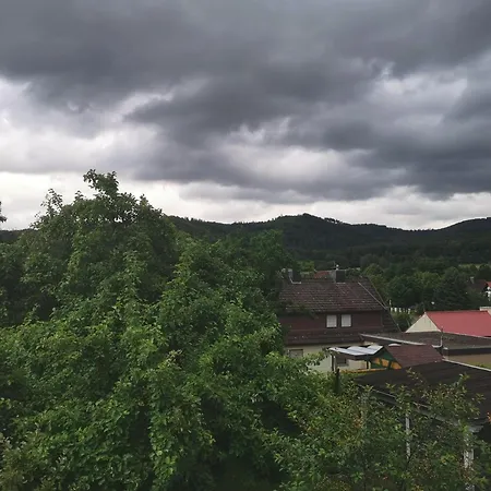 Harzblick Am Waldesrand Apartment