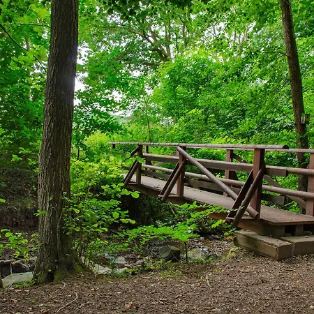 Harzblick Am Waldesrand * Hahausen