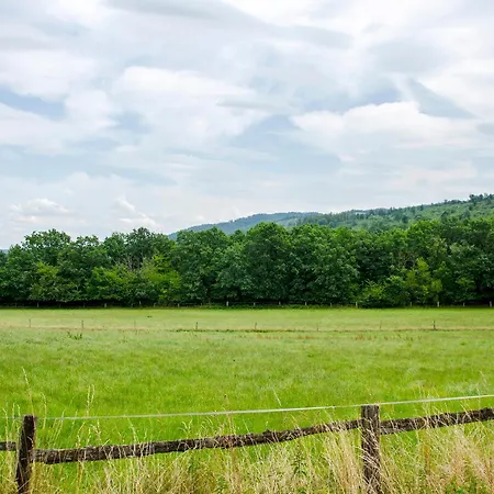 Apartment Harzblick Am Waldesrand *