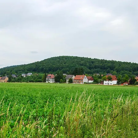 Harzblick Am Waldesrand شقة Hahausen