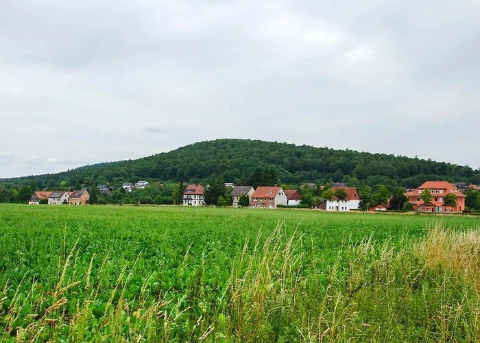 Harzblick Am Waldesrand アパート Hahausen